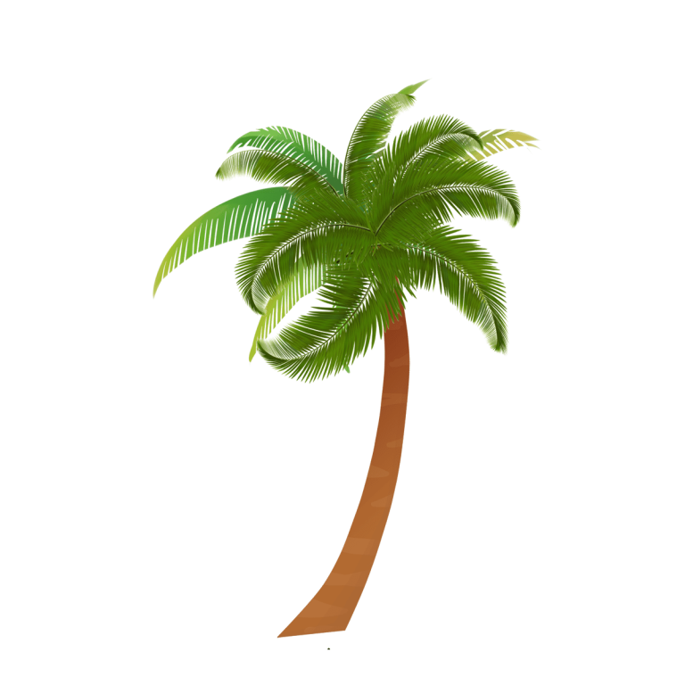 palms